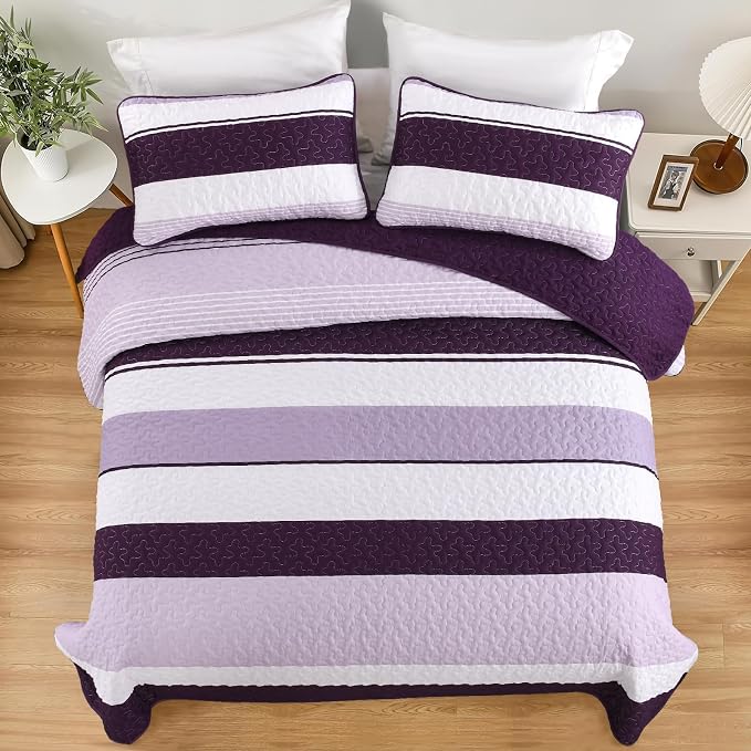 Dinjoy Queen Boho Striped Quilt Set, Breathable All-Season, 3-Piece Set Fits - Image 3