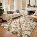6x9 Ft Large Shag Rugs for Living Room Decor, Tie-Dyed Ultra Soft Fluffy Furry by Cuzwlovita