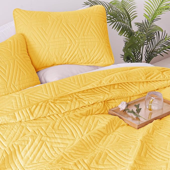 Whale Flotilla Soft Geometric Queen Quilt Set - Image 4