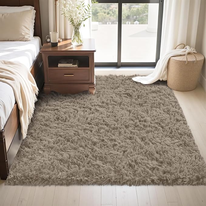 4x6 Area Rug for Living Room - Image 2