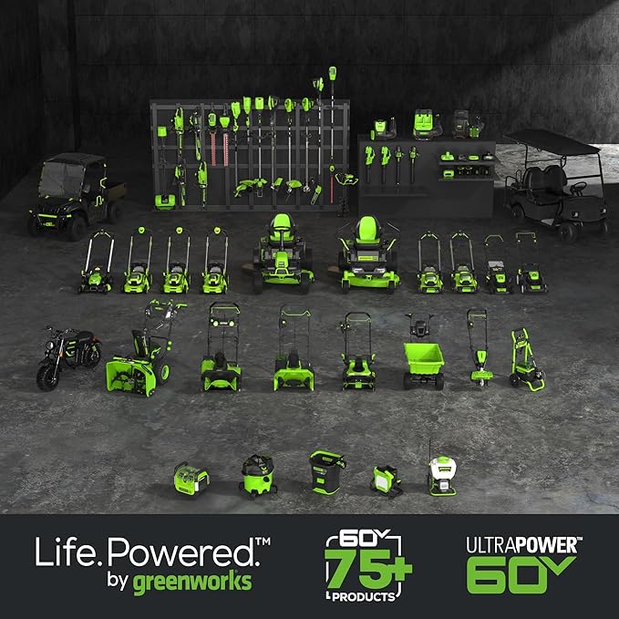 Greenworks 60V 700 CFM Brushless Leaf Blower, 5.0 Ah Battery and Rapid Charger
