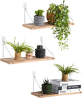 Floating Wall Shelves, Rustic Wood Wall Mounted Shelf Set of 3 | No Drill by MITIME