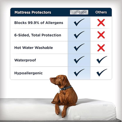 AllerEase Waterproof Mattress Protector Stain Protection Queen Size Allergen Barrier Hot Water Washable Machine Washable Durable Zippered Knit Mattress Cover Stretch Corners (White)