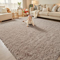 5x8 Beige Shag Area Rug for Living Room, Fluffy Plush Carpet | Non-Slip Large by Junhejiamei