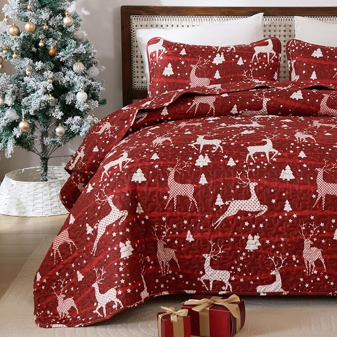 Dinjoy Christmas Quilt King Size - Image 7