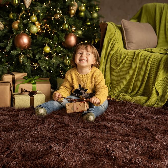 HOMORE Brown Living Room Rug, 4x6 Fluffy Area Rug - Image 2