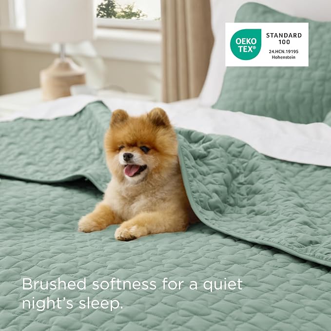 Bedsure Quilts Queen Size, Lucky Star Quilting Comforter Set Sage Green | - Image 4
