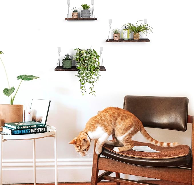 Floating Wall Shelves, Rustic Wood Wall Mounted Shelf Set of 3 | No Drill - Image 2