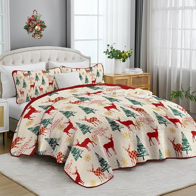 Dinjoy Quilt Set Queen Christmas - Image 2