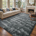 6x9 Ft Large Shag Rugs for Living Room Decor, Tie-Dyed Ultra Soft Fluffy Furry by Cuzwlovita