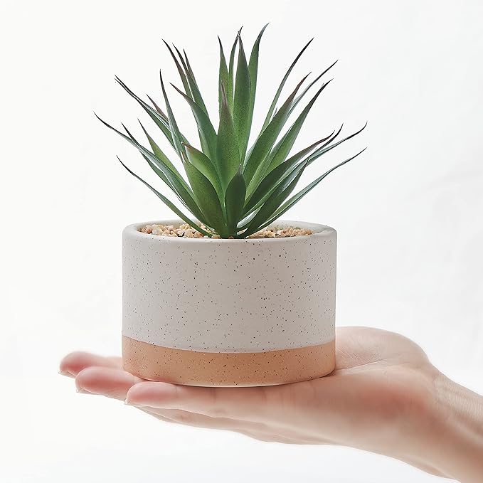 Artificial Succulent Plants in Ceramic Pots, Faux Assorted Succulents Fake Cactus Plants for Home Decor, Bedroom, Office, Desk, Living Room, Set of 3…