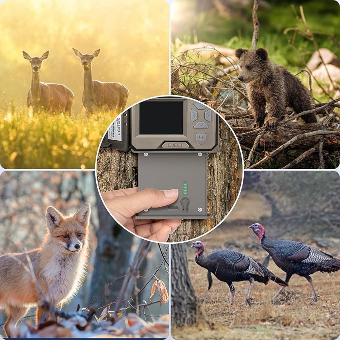 Lesaps 4Pack Rechargeable Reveal Lipo Lithium Battery Pack for Trail Camera Reveal X Gen 3.0, 2.0, X Pro 3.0, Pro, X Ultra 3.0, SK, XB, X - Upgraded LED Meter & Solar Charging (4, Battery 4pack)