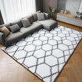 5x7 Area Rugs for Living Room Bedroom, Fluffy White and Grey Throw Rug by ONASAR