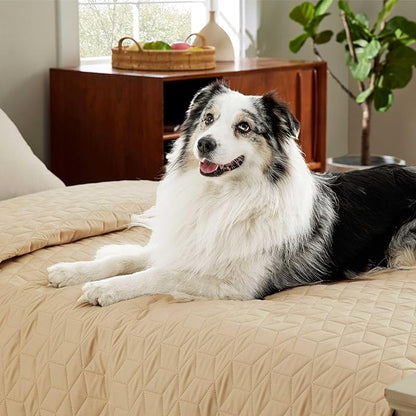 Bedsure 100% Waterproof Couch Cover for Dogs Washable - Non Slip Waterproof Dog Blanket for Bed, Lightweight Furniture Protector Durable for Pet Cat Puppy with Non-Slip Bottom, Beige, 82x120IN