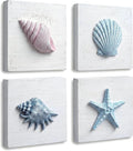 Tide and Tales 3D Seashell Wall Art, Coastal Bathroom Wall Decor, Textured 3D by TideandTales
