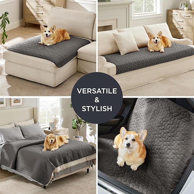 Bedsure 100% Waterproof Couch Cover for Dogs Washable - Non Slip Waterproof Dog Blanket for Couch Sofa, Lightweight Furniture Protector Durable for Pet Puppy with Non-Slip Bottom, Dark Grey, 40x50IN