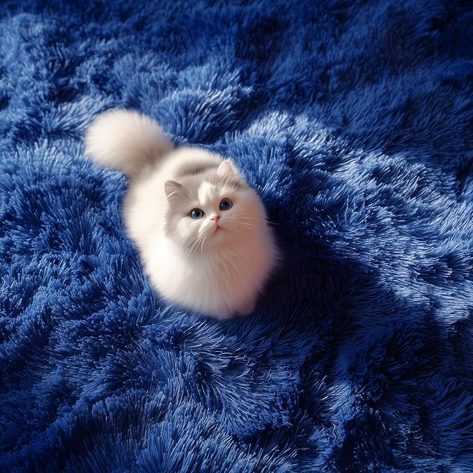 Blue Rug 4x6 Ft Fluffy Shag Rugs - Image 9