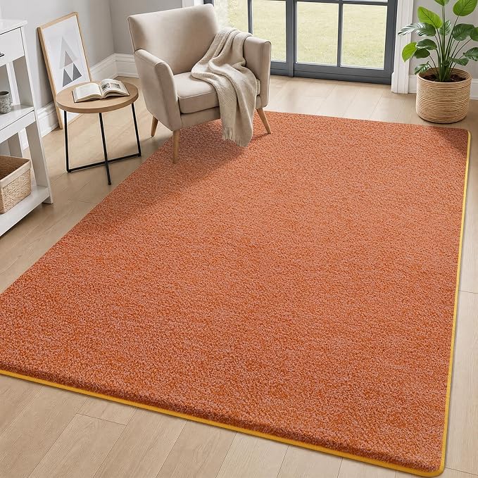 4x6 Area Rugs for Living Room Non Slip Dorm Bedroom Rug, Minimalist Washable by AROGANAREARUG