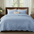 Bedsure King Size Quilt Bedspread, Thin Comforter, Stitch-Free Quilt-Tech by Unknown