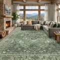 RELEANY Washable Area Rug, Large 10'x12', Water Repellent, Pet Friendly by RELEANY