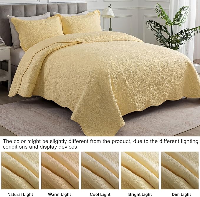 HoneiLife Queen Size Quilt Sets - Image 7