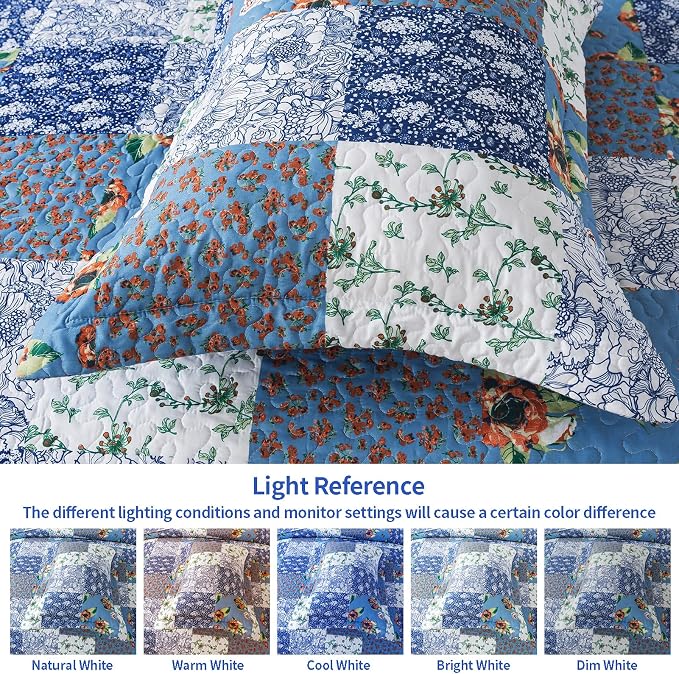 VAPUTAR Queen Size Quilt Set - Image 5