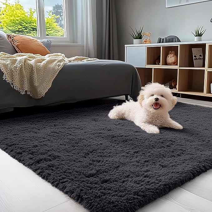 OLANLY 3x5 Machine Washable Small Bedside Rug, Soft Fluffy Shaggy Rugs by OLANLY