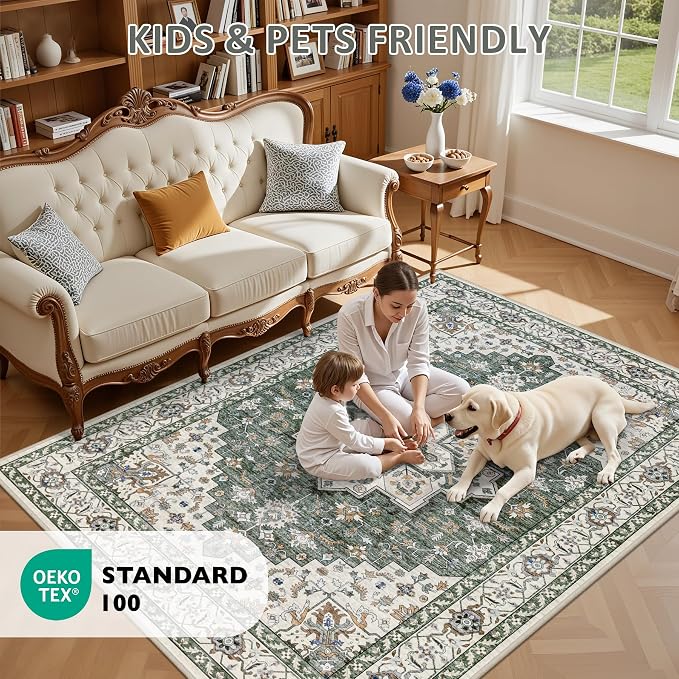 5x7 Area Rugs Living Room: Washable Rug - Image 9
