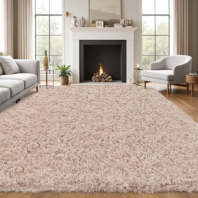 5x8 Area Rug for Living Room by Unknown