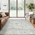 Soalmost 6x9 Area Rug for Living Room Washable Non-Slip Rugs Light Gray | by Soalmost