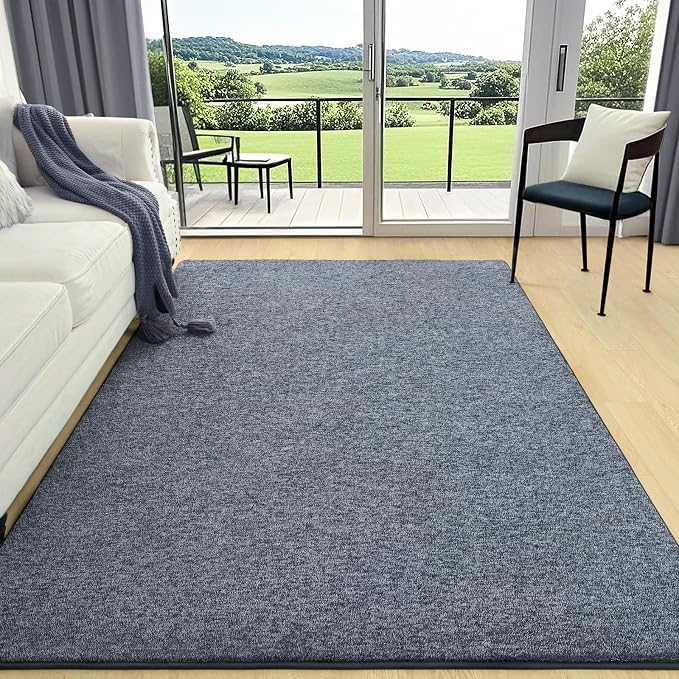 4x6 Area Rugs for Living Room Non Slip Dorm Bedroom Rug, Minimalist Washable by AROGANAREARUG