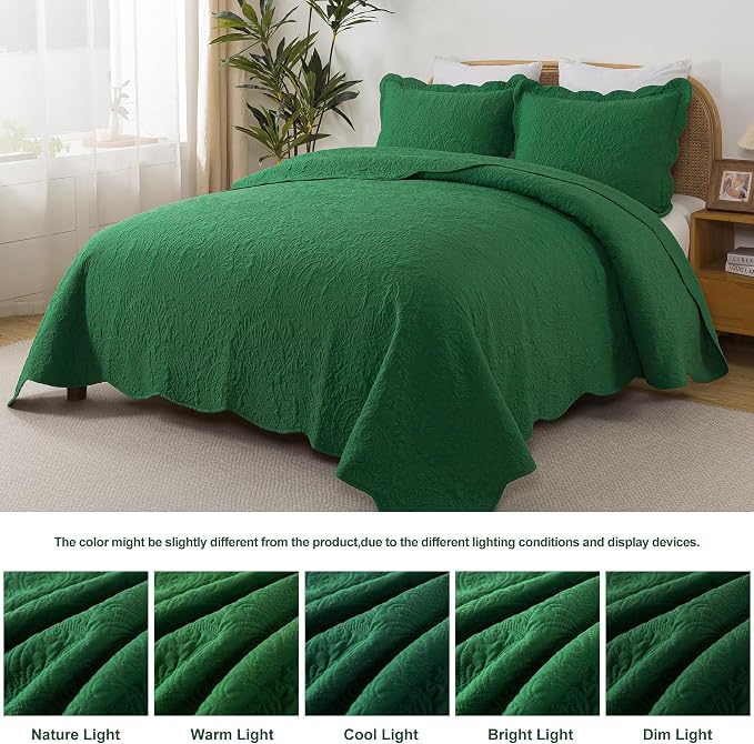 HoneiLife Queen Size Quilt Sets - Image 2