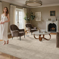 6x9 Area Rugs, High Low Pile Washable Rugs by Valenrug