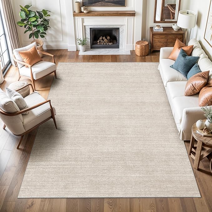 4x6 Area Rug for Entryway, Non Slip Washable Bedroom Rug, Thin & Lighweight by Valenrug