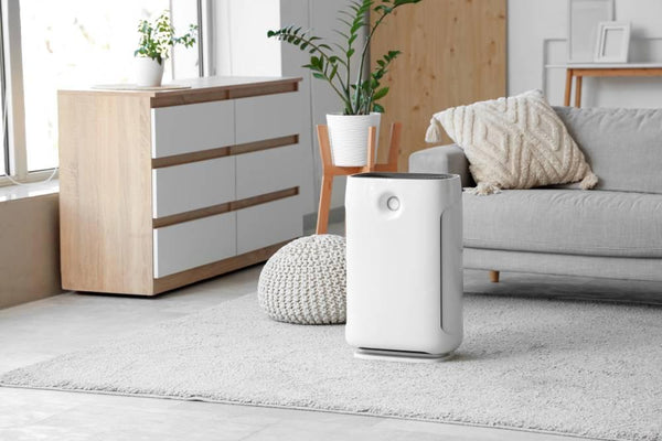 Air Quality & Comfort