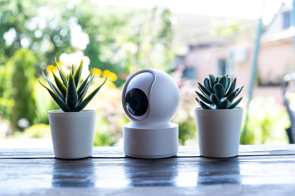 Smart Security & Safety